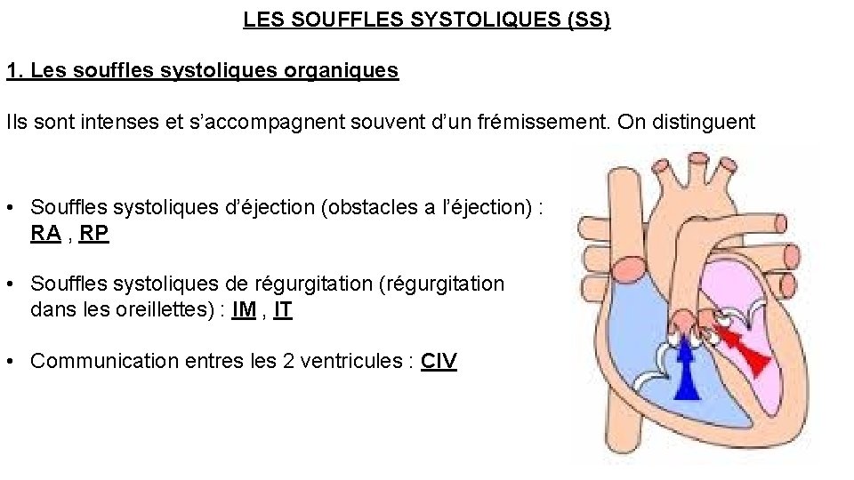 LES SOUFFLES SYSTOLIQUES (SS) 1. Les souffles systoliques organiques Ils sont intenses et s’accompagnent