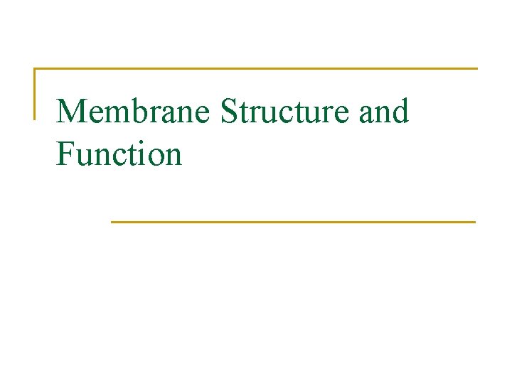 Membrane Structure and Function 