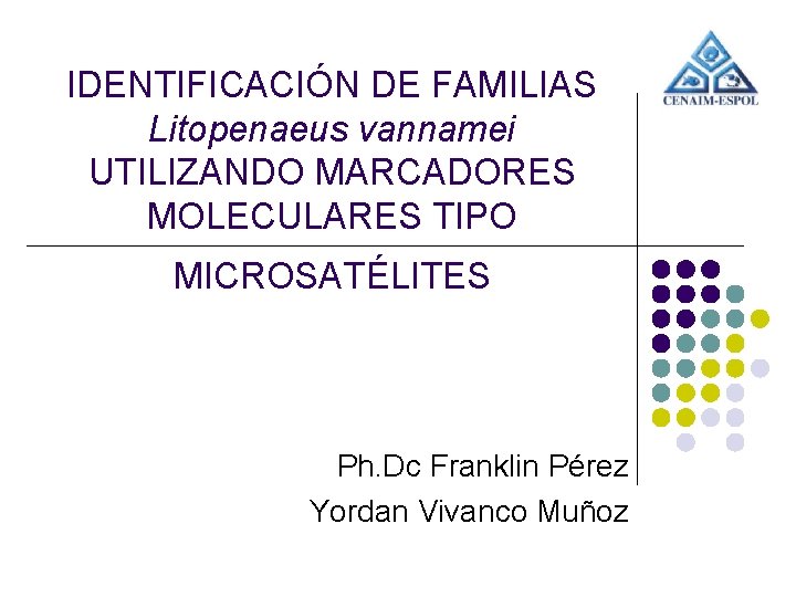 IDENTIFICACIÓN DE FAMILIAS Litopenaeus vannamei UTILIZANDO MARCADORES MOLECULARES TIPO MICROSATÉLITES Ph. Dc Franklin Pérez IDENTIFICACIÓN DE FAMILIAS Litopenaeus vannamei UTILIZANDO MARCADORES MOLECULARES TIPO MICROSATÉLITES Ph. Dc Franklin Pérez