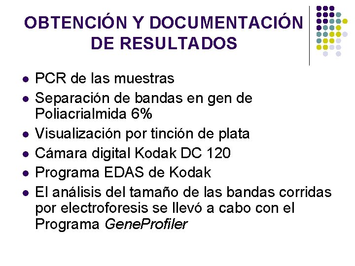 OBTENCIÓN Y DOCUMENTACIÓN DE RESULTADOS l l l PCR de las muestras Separación de OBTENCIÓN Y DOCUMENTACIÓN DE RESULTADOS l l l PCR de las muestras Separación de
