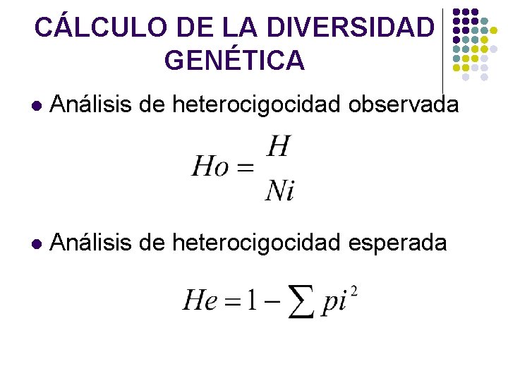 CÁLCULO DE LA DIVERSIDAD GENÉTICA l Análisis de heterocigocidad observada l Análisis de heterocigocidad CÁLCULO DE LA DIVERSIDAD GENÉTICA l Análisis de heterocigocidad observada l Análisis de heterocigocidad
