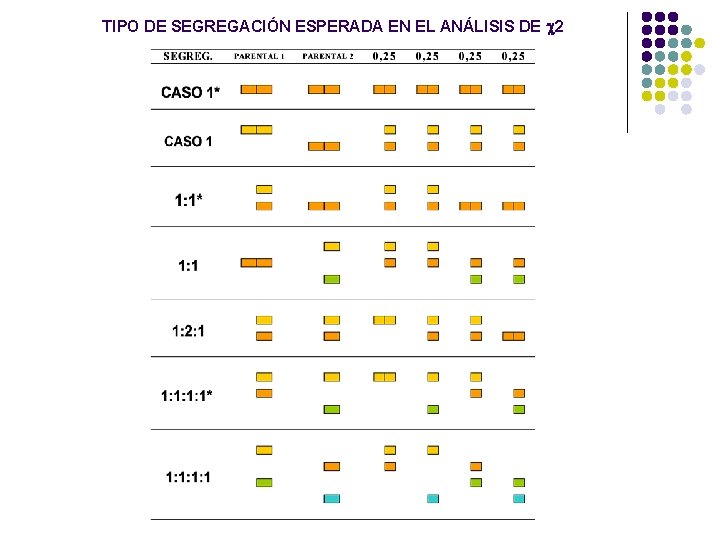 TIPO DE SEGREGACIÓN ESPERADA EN EL ANÁLISIS DE 2 TIPO DE SEGREGACIÓN ESPERADA EN EL ANÁLISIS DE 2