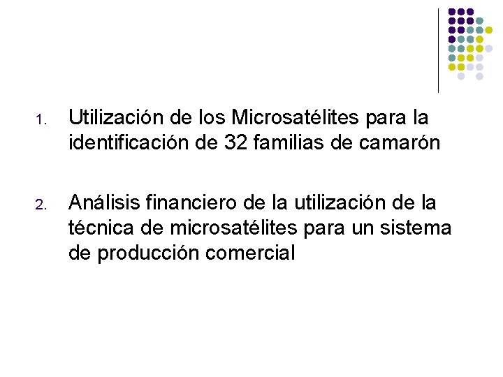 1. Utilización de los Microsatélites para la identificación de 32 familias de camarón 2. 1. Utilización de los Microsatélites para la identificación de 32 familias de camarón 2.