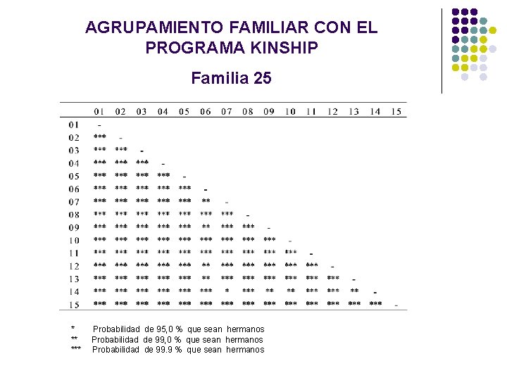 AGRUPAMIENTO FAMILIAR CON EL PROGRAMA KINSHIP Familia 25 * ** *** Probabilidad de 95, AGRUPAMIENTO FAMILIAR CON EL PROGRAMA KINSHIP Familia 25 * ** *** Probabilidad de 95,