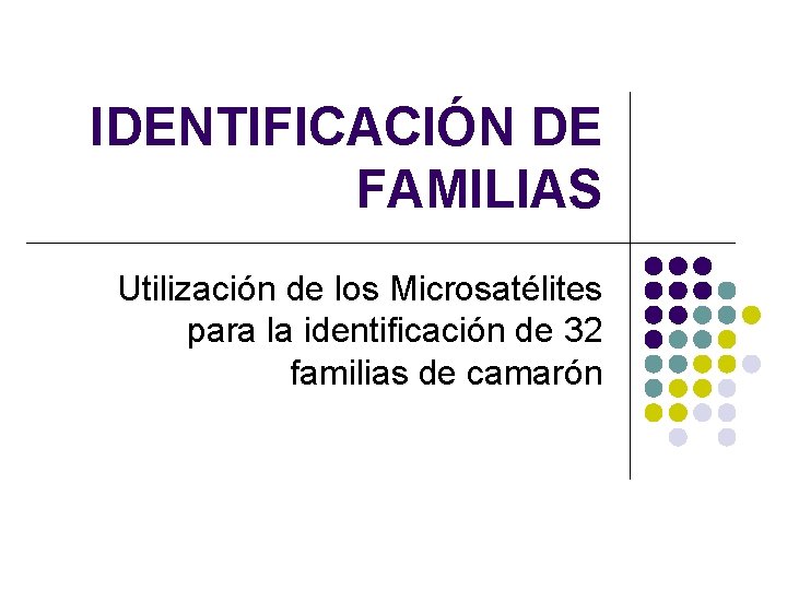 IDENTIFICACIÓN DE FAMILIAS Utilización de los Microsatélites para la identificación de 32 familias de IDENTIFICACIÓN DE FAMILIAS Utilización de los Microsatélites para la identificación de 32 familias de
