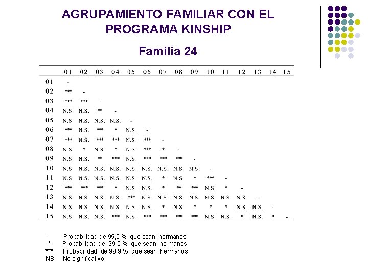 AGRUPAMIENTO FAMILIAR CON EL PROGRAMA KINSHIP Familia 24 * ** *** NS Probabilidad de AGRUPAMIENTO FAMILIAR CON EL PROGRAMA KINSHIP Familia 24 * ** *** NS Probabilidad de