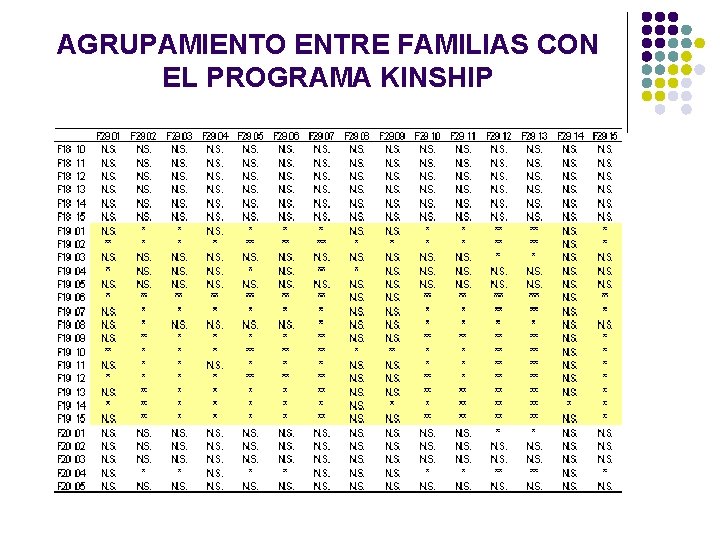 AGRUPAMIENTO ENTRE FAMILIAS CON EL PROGRAMA KINSHIP AGRUPAMIENTO ENTRE FAMILIAS CON EL PROGRAMA KINSHIP