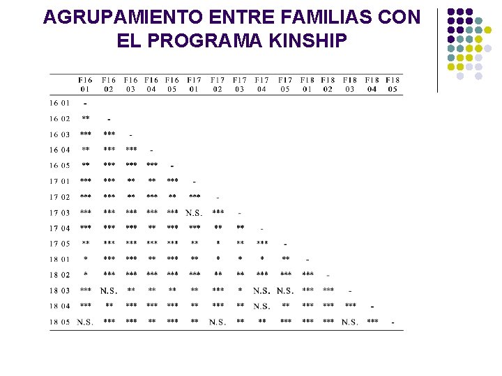 AGRUPAMIENTO ENTRE FAMILIAS CON EL PROGRAMA KINSHIP AGRUPAMIENTO ENTRE FAMILIAS CON EL PROGRAMA KINSHIP