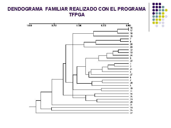 DENDOGRAMA FAMILIAR REALIZADO CON EL PROGRAMA TFPGA DENDOGRAMA FAMILIAR REALIZADO CON EL PROGRAMA TFPGA