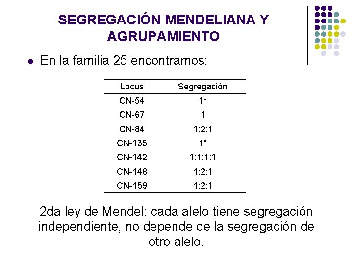 SEGREGACIÓN MENDELIANA Y AGRUPAMIENTO l En la familia 25 encontramos: Locus Segregación CN-54 1* SEGREGACIÓN MENDELIANA Y AGRUPAMIENTO l En la familia 25 encontramos: Locus Segregación CN-54 1*
