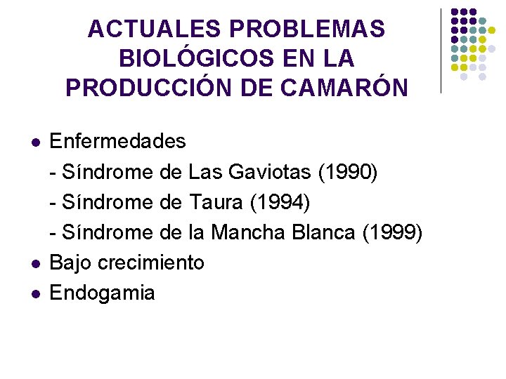 ACTUALES PROBLEMAS BIOLÓGICOS EN LA PRODUCCIÓN DE CAMARÓN l l l Enfermedades - Síndrome ACTUALES PROBLEMAS BIOLÓGICOS EN LA PRODUCCIÓN DE CAMARÓN l l l Enfermedades - Síndrome