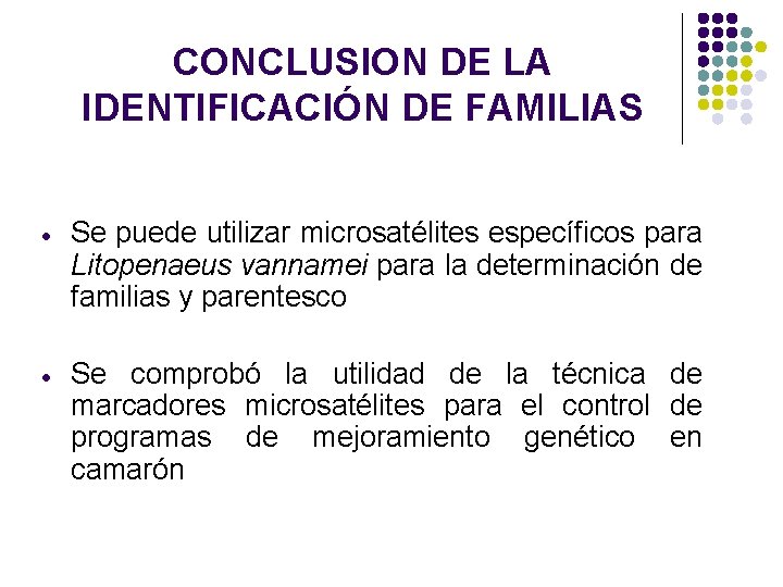 CONCLUSION DE LA IDENTIFICACIÓN DE FAMILIAS Se puede utilizar microsatélites específicos para Litopenaeus vannamei CONCLUSION DE LA IDENTIFICACIÓN DE FAMILIAS Se puede utilizar microsatélites específicos para Litopenaeus vannamei