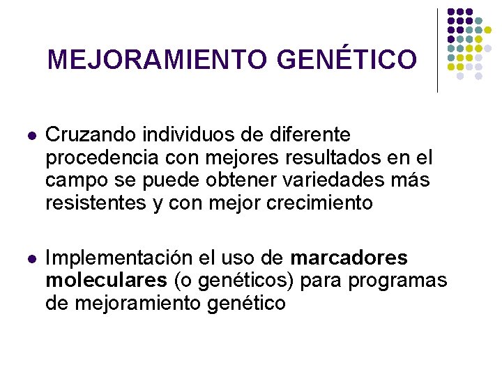 MEJORAMIENTO GENÉTICO l Cruzando individuos de diferente procedencia con mejores resultados en el campo MEJORAMIENTO GENÉTICO l Cruzando individuos de diferente procedencia con mejores resultados en el campo