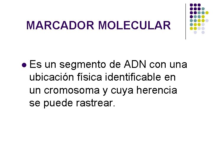 MARCADOR MOLECULAR l Es un segmento de ADN con una ubicación física identificable en MARCADOR MOLECULAR l Es un segmento de ADN con una ubicación física identificable en
