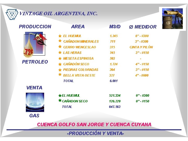 VINTAGE OIL ARGENTINA, INC. PRODUCCION PETROLEO AREA M 3/D MEDIDOR EL HUEMUL 1. 245