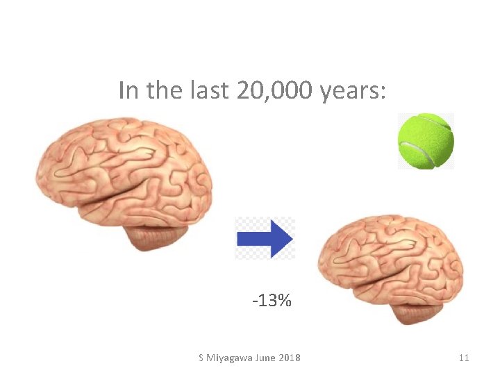 In the last 20, 000 years: -13% S Miyagawa June 2018 11 