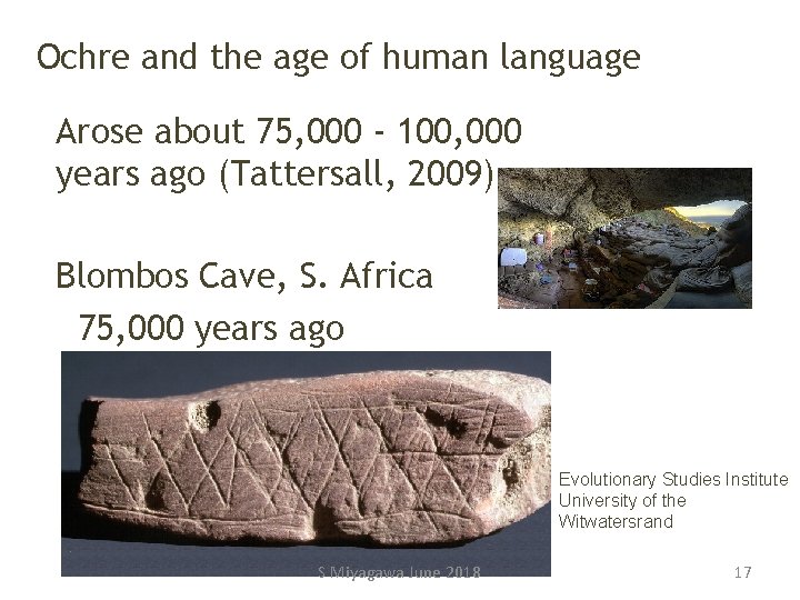 Ochre and the age of human language Arose about 75, 000 - 100, 000