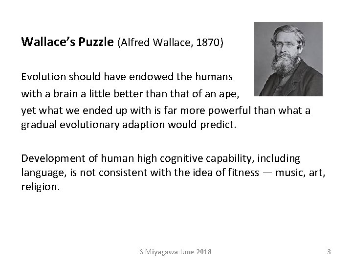 Wallace’s Puzzle (Alfred Wallace, 1870) Evolution should have endowed the humans with a brain