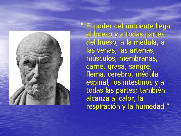 “ El poder del nutriente llega al hueso y a todas partes del hueso, “ El poder del nutriente llega al hueso y a todas partes del hueso,