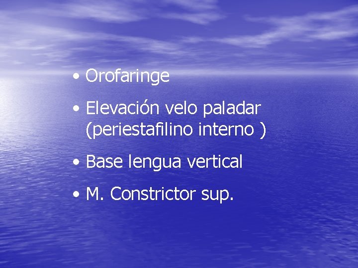 • Orofaringe • Elevación velo paladar (periestafilino interno ) • Base lengua vertical • Orofaringe • Elevación velo paladar (periestafilino interno ) • Base lengua vertical