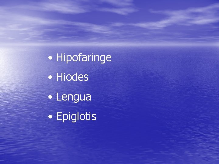 • Hipofaringe • Hiodes • Lengua • Epiglotis • Hipofaringe • Hiodes • Lengua • Epiglotis