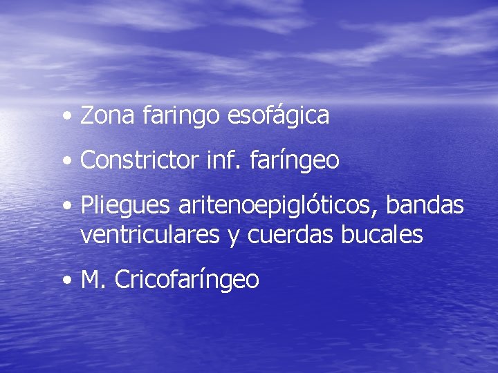 • Zona faringo esofágica • Constrictor inf. faríngeo • Pliegues aritenoepiglóticos, bandas ventriculares • Zona faringo esofágica • Constrictor inf. faríngeo • Pliegues aritenoepiglóticos, bandas ventriculares