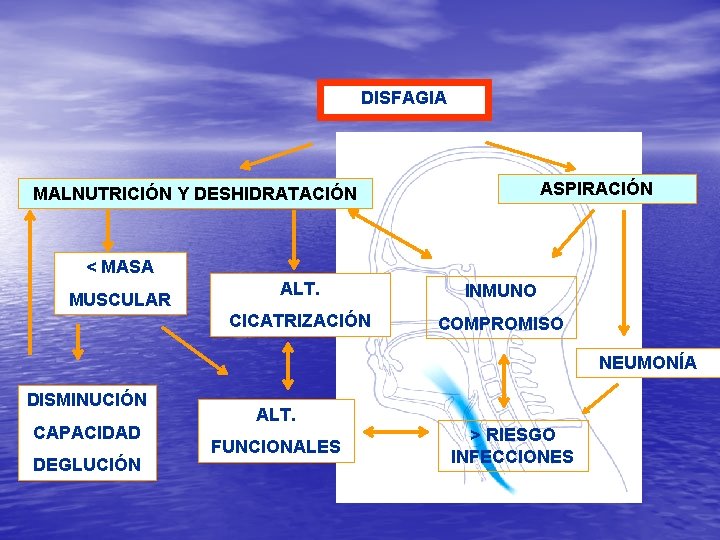 DISFAGIA ASPIRACIÓN MALNUTRICIÓN Y DESHIDRATACIÓN < MASA MUSCULAR ALT. INMUNO CICATRIZACIÓN COMPROMISO NEUMONÍA DISMINUCIÓN DISFAGIA ASPIRACIÓN MALNUTRICIÓN Y DESHIDRATACIÓN < MASA MUSCULAR ALT. INMUNO CICATRIZACIÓN COMPROMISO NEUMONÍA DISMINUCIÓN