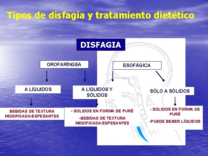 Tipos de disfagia y tratamiento dietético DISFAGIA OROFARÍNGEA A LÍQUIDOS BEBIDAS DE TEXTURA MODIFICADA/ESPESANTES Tipos de disfagia y tratamiento dietético DISFAGIA OROFARÍNGEA A LÍQUIDOS BEBIDAS DE TEXTURA MODIFICADA/ESPESANTES