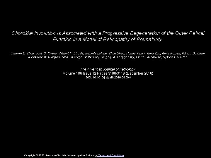 Choroidal Involution Is Associated with a Progressive Degeneration of the Outer Retinal Function in