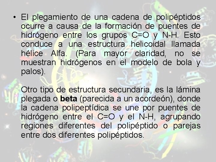 • El plegamiento de una cadena de polipéptidos ocurre a causa de la • El plegamiento de una cadena de polipéptidos ocurre a causa de la