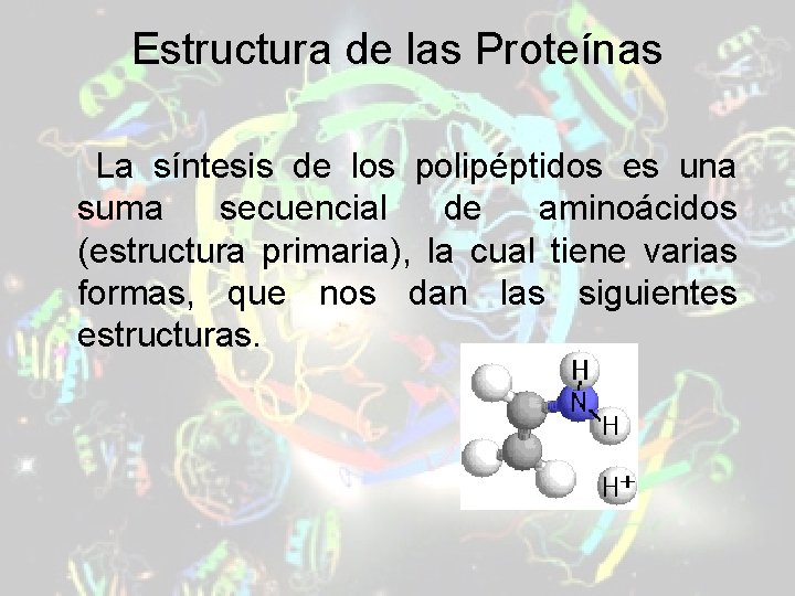 Estructura de las Proteínas La síntesis de los polipéptidos es una suma secuencial de Estructura de las Proteínas La síntesis de los polipéptidos es una suma secuencial de