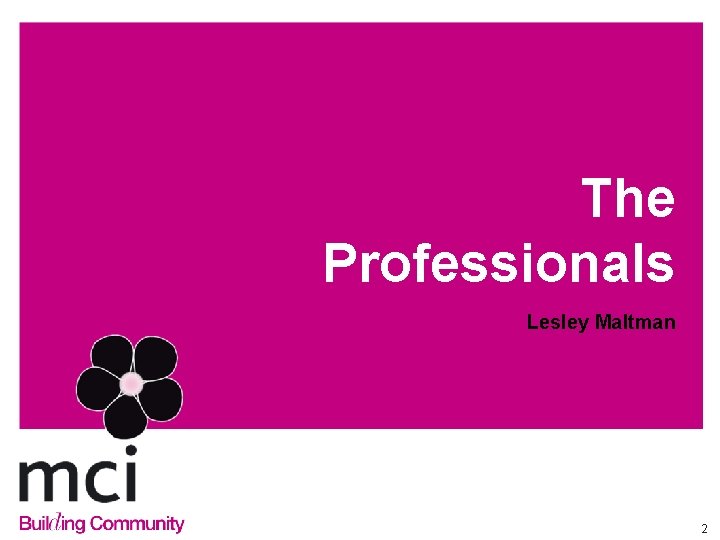 The Professionals Lesley Maltman 2 