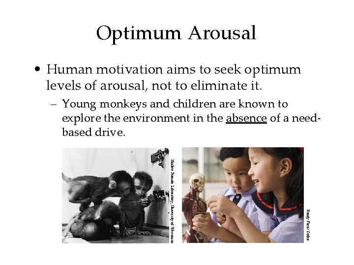 Optimum Arousal • Human motivation aims to seek optimum levels of arousal, not to