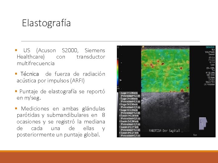 Elastografía § US (Acuson S 2000, Siemens Healthcare) con transductor multifrecuencia § Técnica de