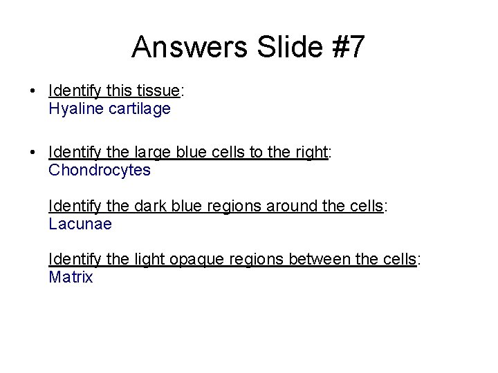 Answers Slide #7 • Identify this tissue: Hyaline cartilage • Identify the large blue