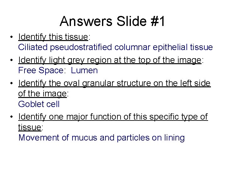 Answers Slide #1 • Identify this tissue: Ciliated pseudostratified columnar epithelial tissue • Identify