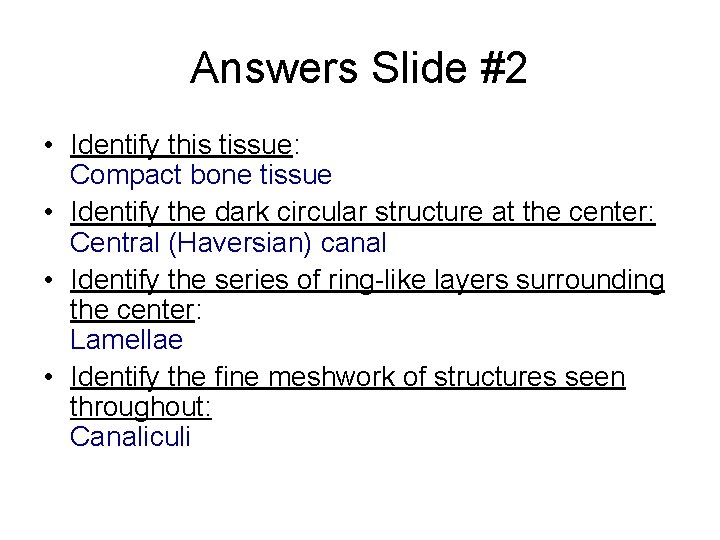 Answers Slide #2 • Identify this tissue: Compact bone tissue • Identify the dark