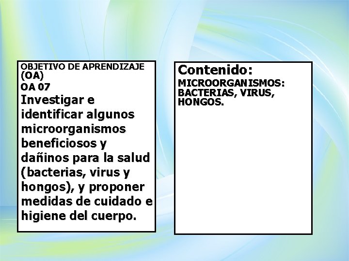 OBJETIVO DE APRENDIZAJE (OA) OA 07 Investigar e identificar algunos microorganismos beneficiosos y dañinos