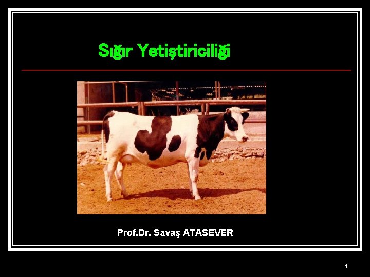Sığır Yetiştiriciliği Prof. Dr. Savaş ATASEVER 1 