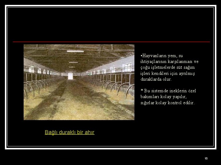  • Hayvanların yem, su ihtiyaçlarının karşılanması ve çoğu işletmelerde süt sağım işleri kendileri