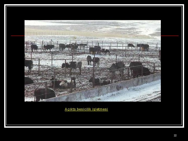 Açıkta besicilik işletmesi 22 
