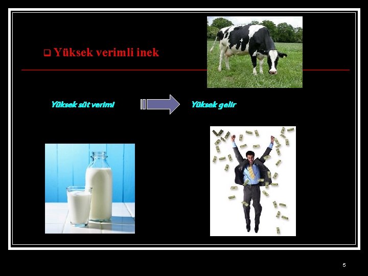 q Yüksek verimli inek Yüksek süt verimi Yüksek gelir 5 