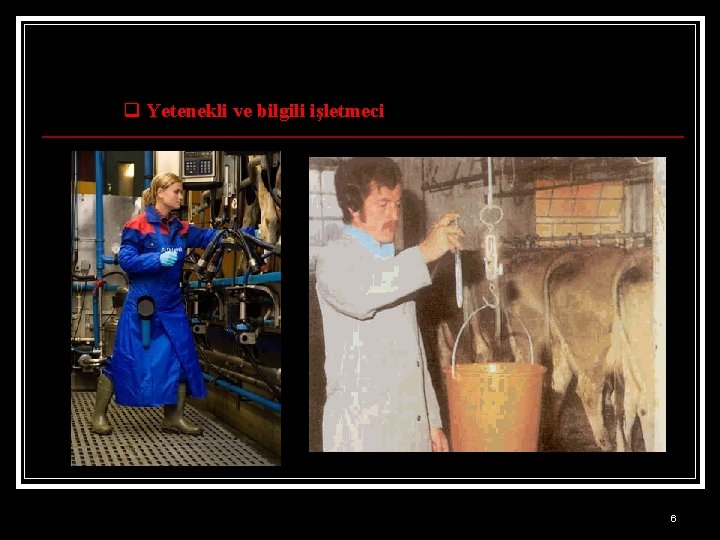 q Yetenekli ve bilgili işletmeci 6 