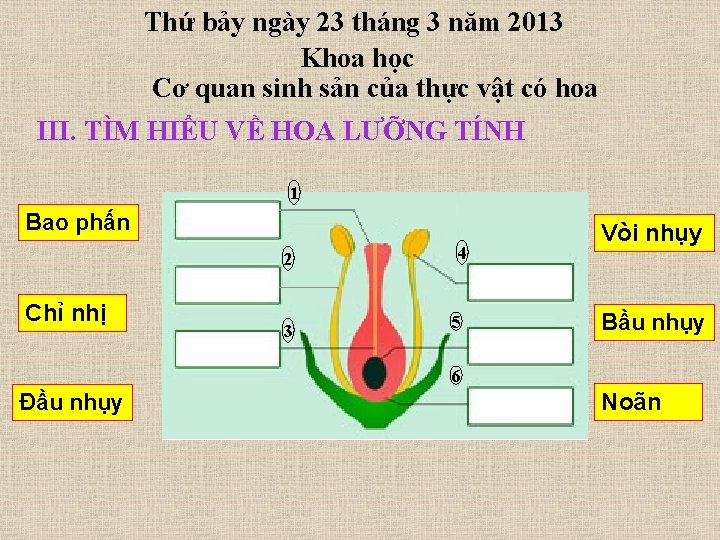 Thứ bảy ngày 23 tháng 3 năm 2013 Khoa học Cơ quan sinh sản