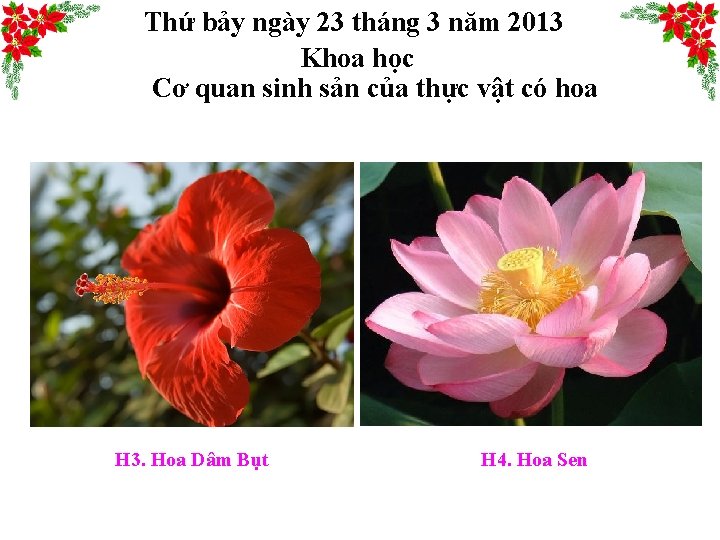 Thứ bảy ngày 23 tháng 3 năm 2013 Khoa học Cơ quan sinh sản
