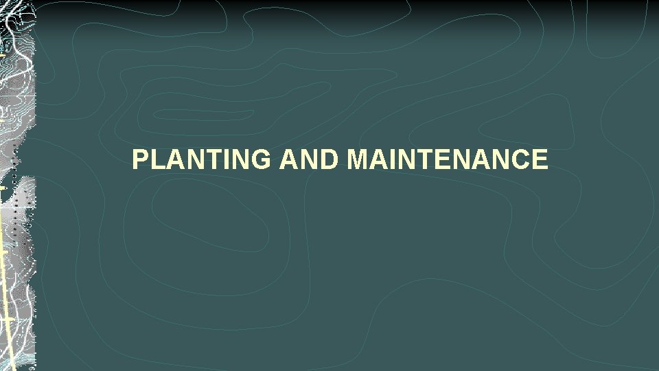 PLANTING AND MAINTENANCE 