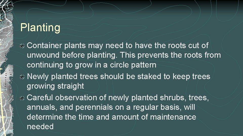 Planting Container plants may need to have the roots cut of unwound before planting.