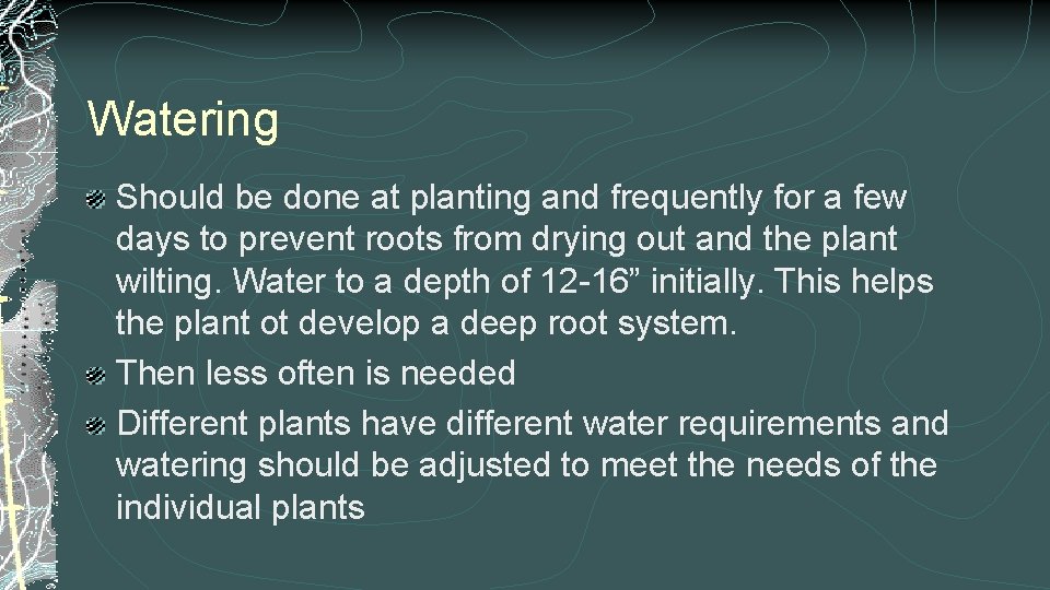 Watering Should be done at planting and frequently for a few days to prevent