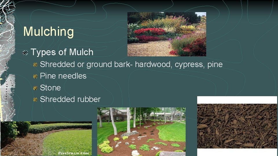 Mulching Types of Mulch Shredded or ground bark- hardwood, cypress, pine Pine needles Stone