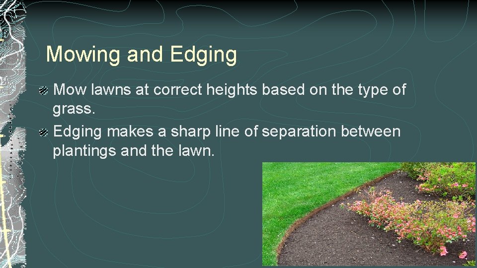 Mowing and Edging Mow lawns at correct heights based on the type of grass.